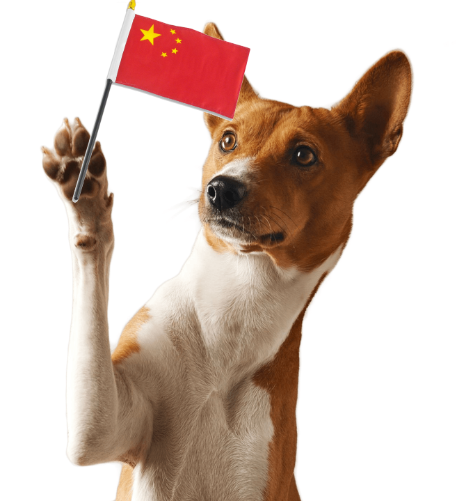 1691569509716.png