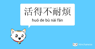 1691905485908.png