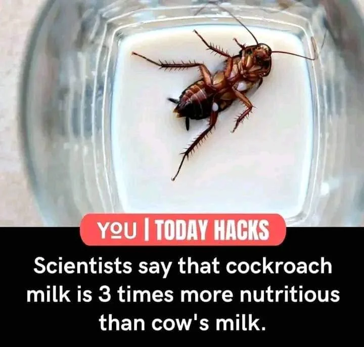 1722613731133.png