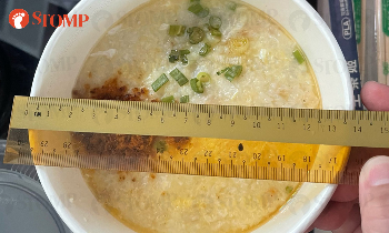 1741266189056.png