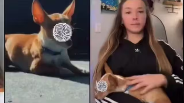 1743693592120.png