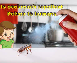 1743993055679.png