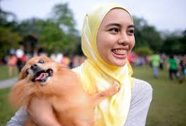 Want to Touch a Dog? In Malaysia, It's ...