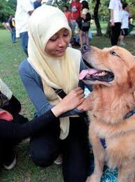 dog unleashes a national scandal ...