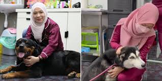 Muslim Vet Treats Dogs Despite Stigma ...