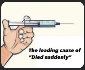 1749868858369.png