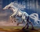 Loki — notesz-b: Sleipnir, the eight-legged horse of...