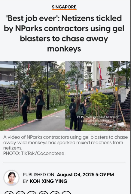 1754436476019.png