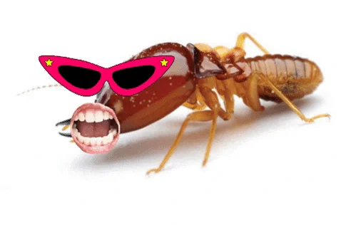 1755871703818.png