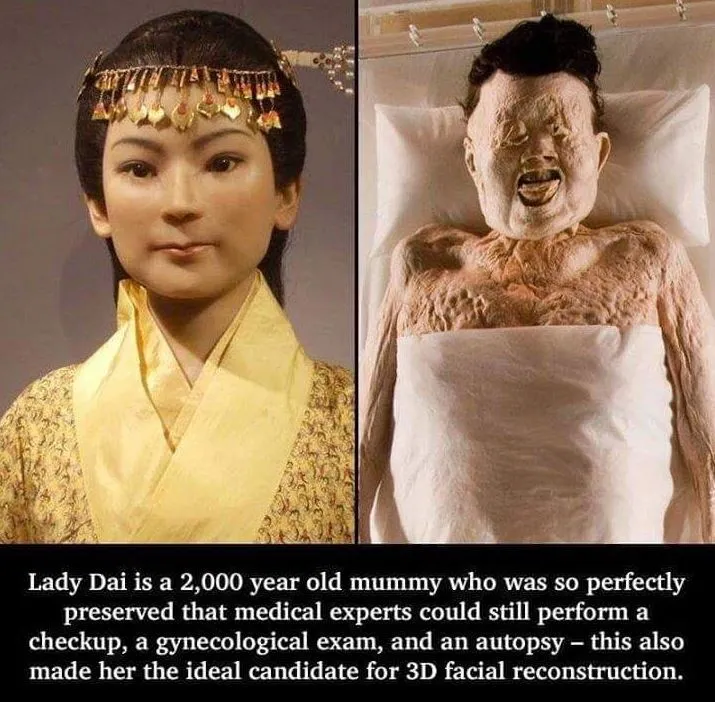 1756271420172.png