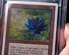 15 most valuable and rare Magic: The Gathering cards | Dicebreaker