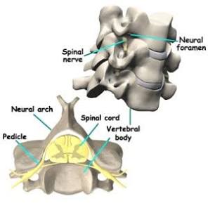 A Patient's Guide to Spinal Tumors 2024 (Treatment in ...