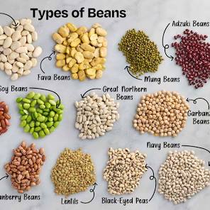 14 Types of Beans and How to Use Them | The Kitchn