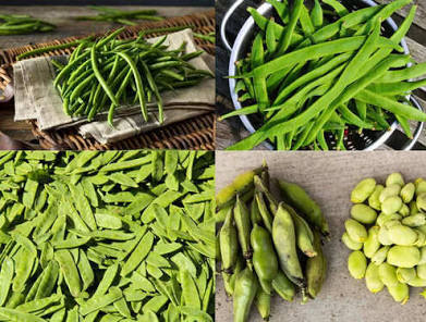 7 types of desi green beans found in India
