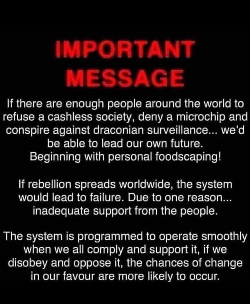 1778689719425.png