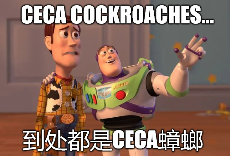 1779036219042.png