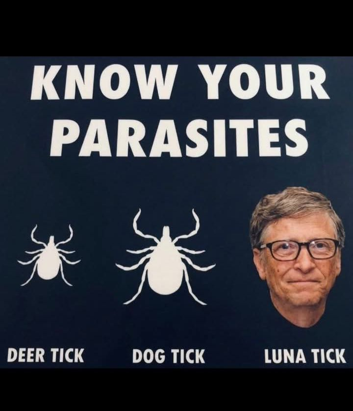 1779408266640.png