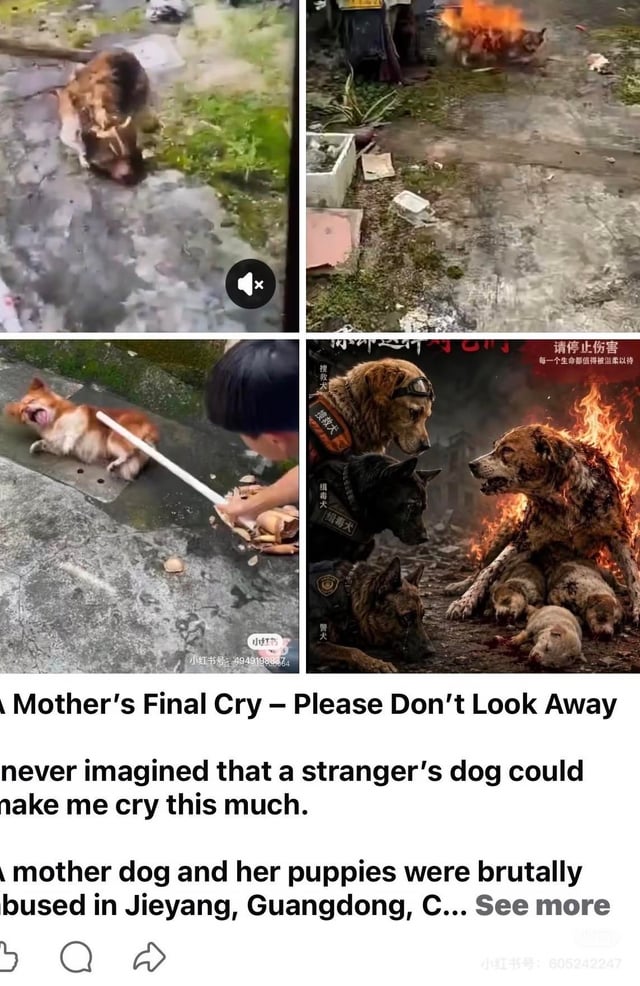 1784085303975.jpeg