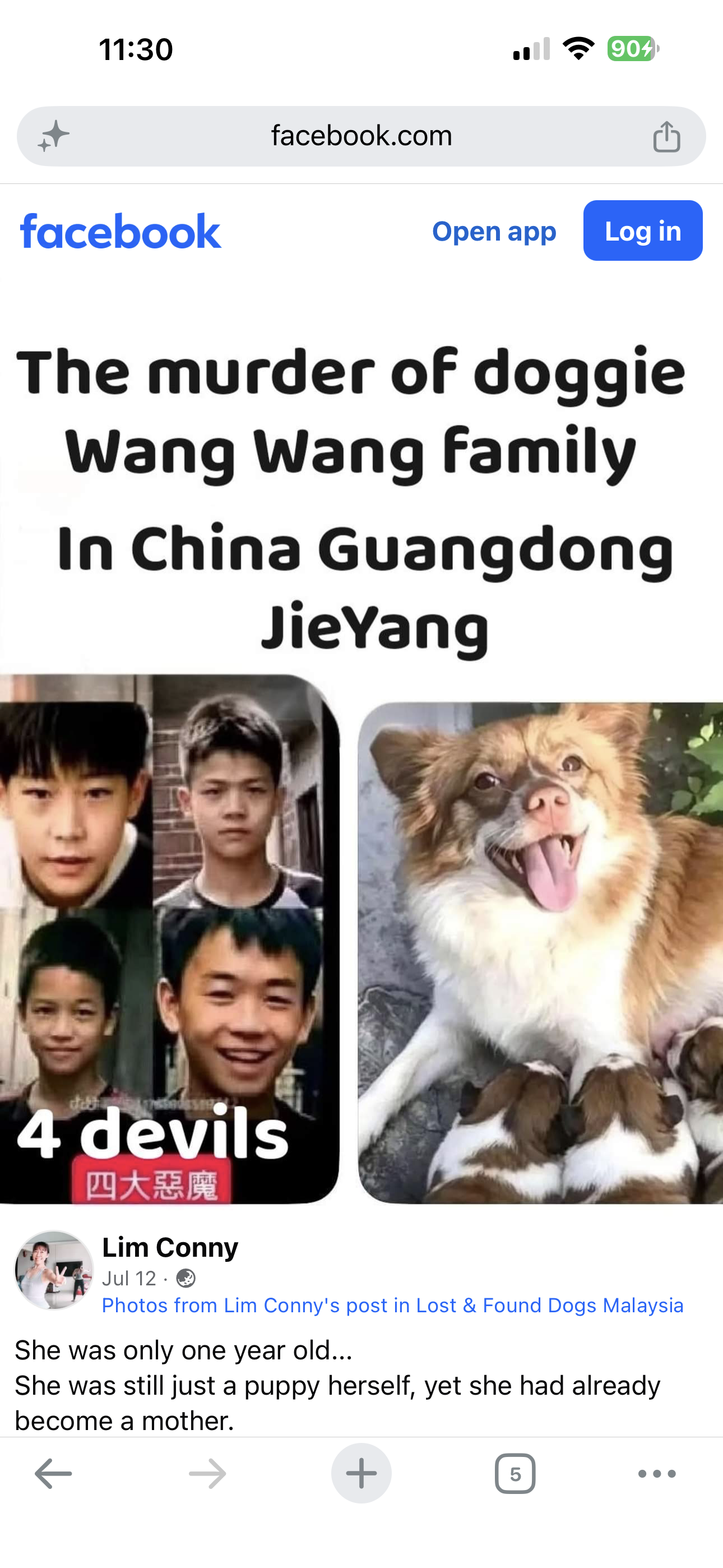 1784086249428.png