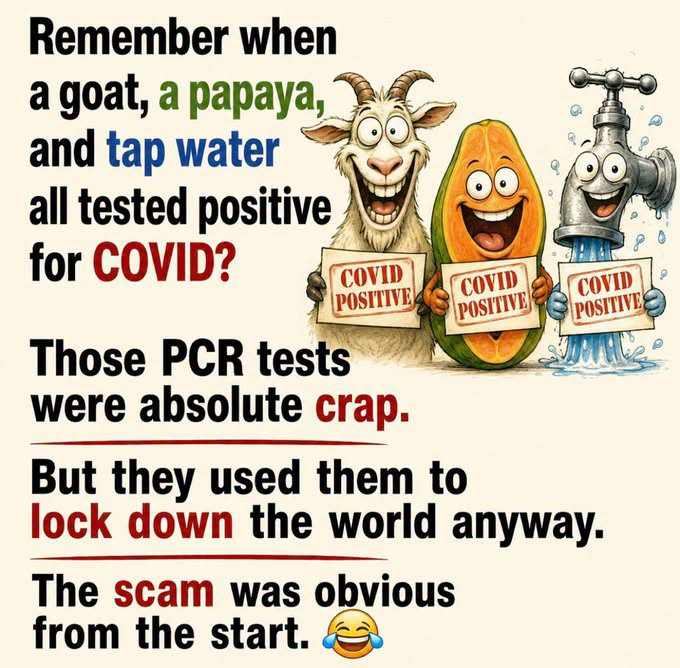 1784510667438.png