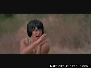 20150301 Kung Fu Funny.gif