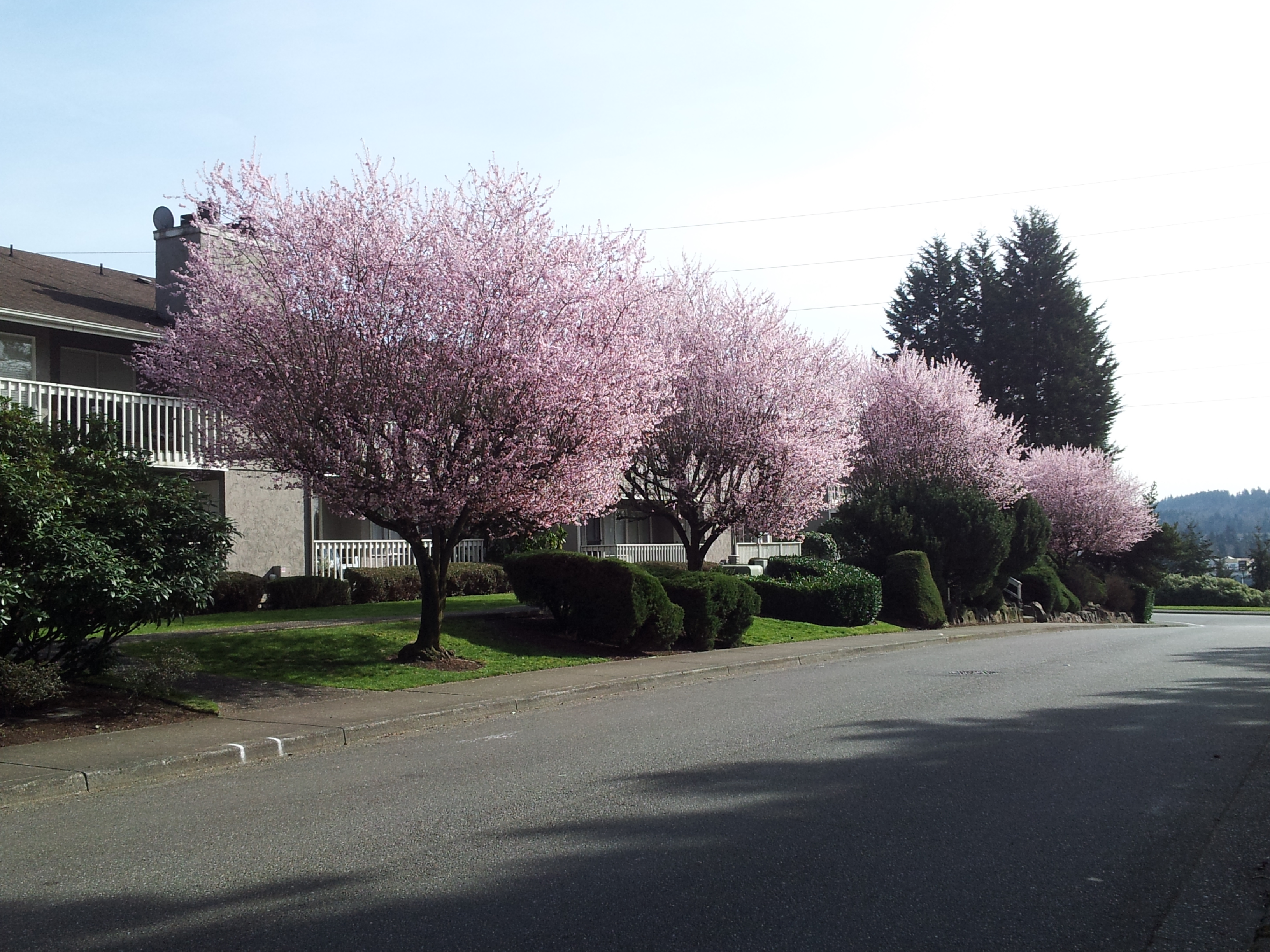 20150306_135247.jpg