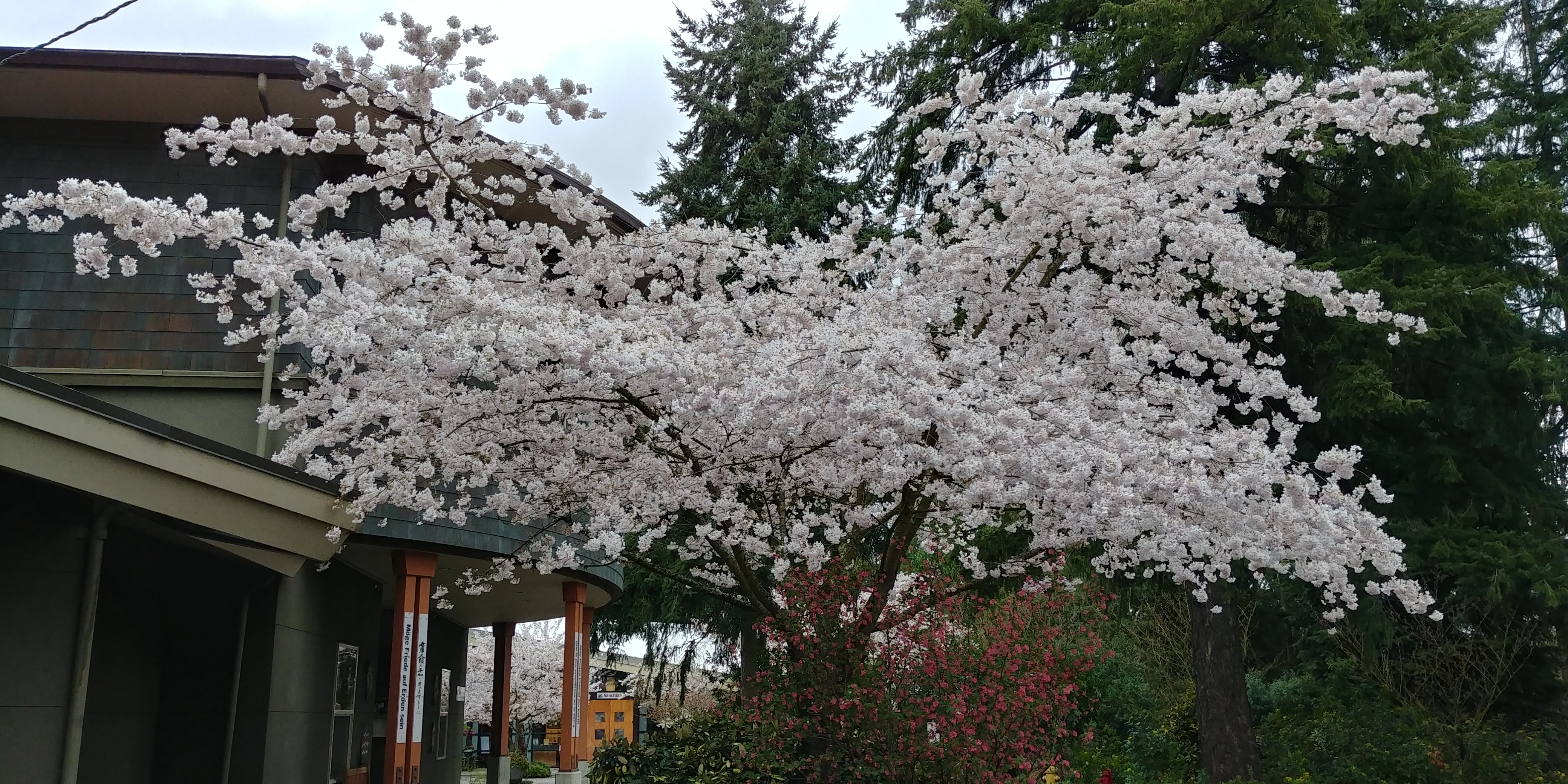 20180401_132746_HDR.jpg