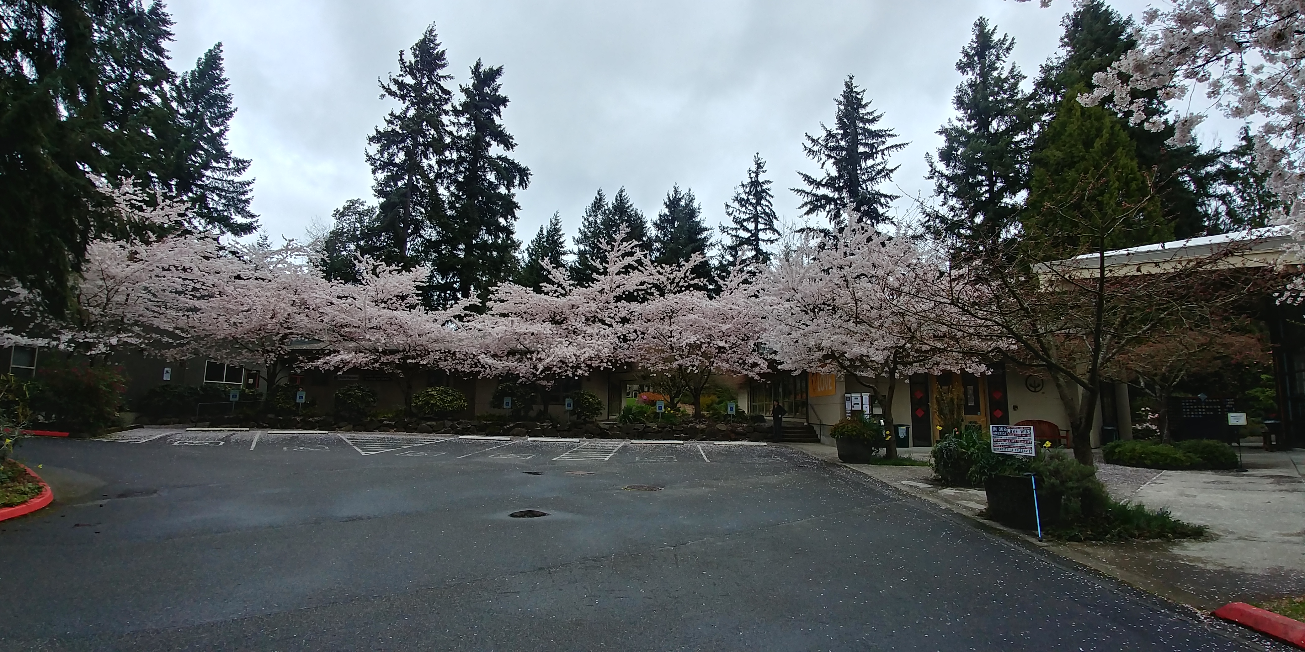20180401_133041_HDR.jpg