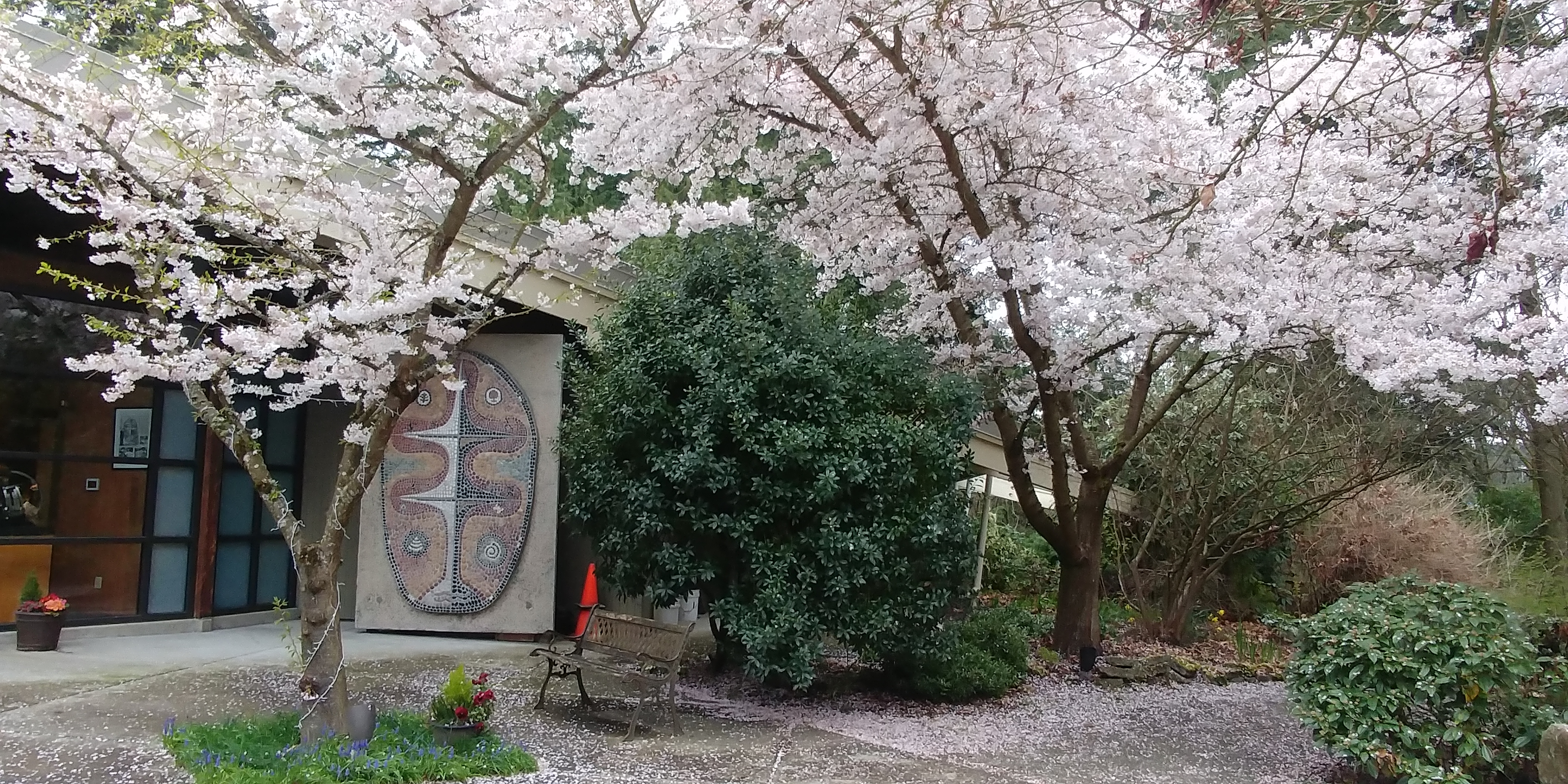 20180401_133449_HDR.jpg