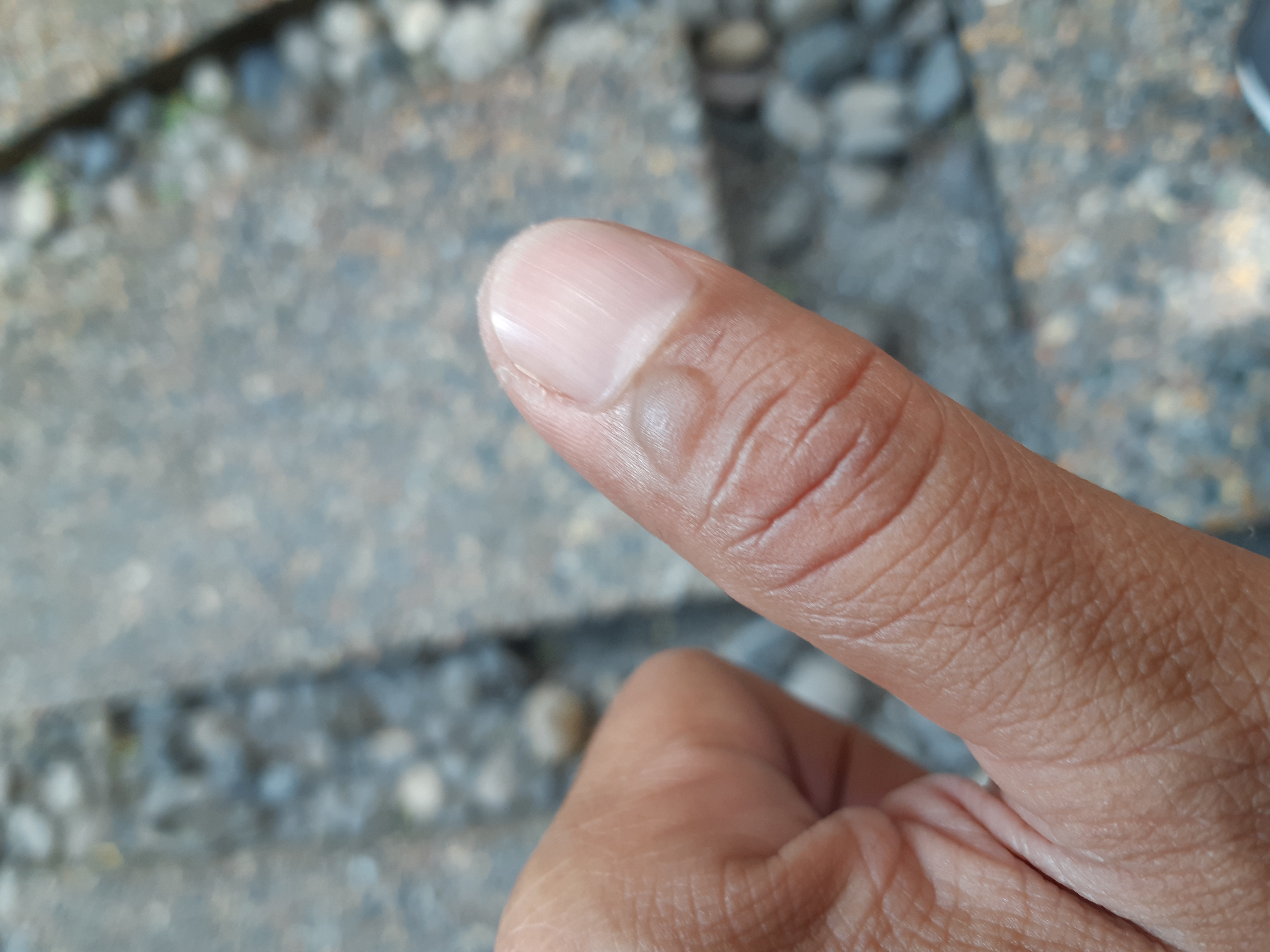 20180917_105152.jpg