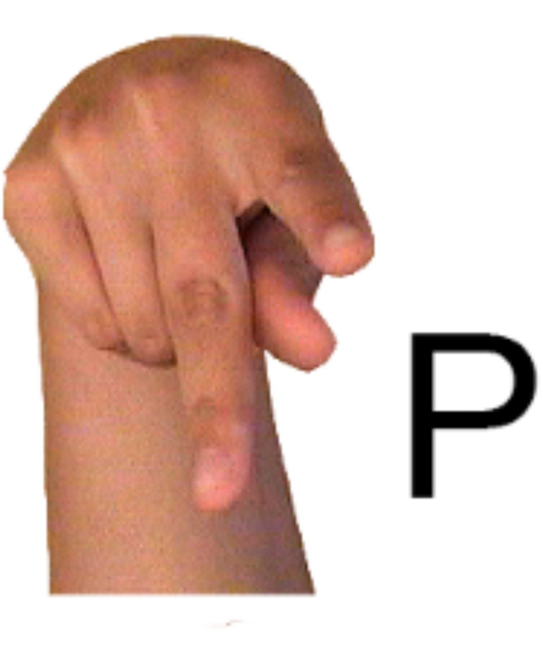 20190205_200847.jpg