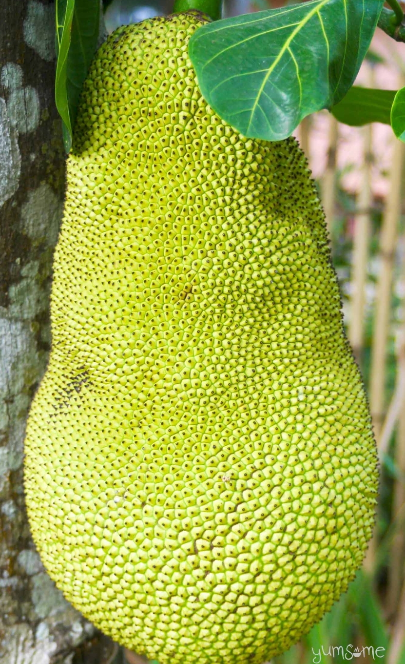 20190213_014626.jpg