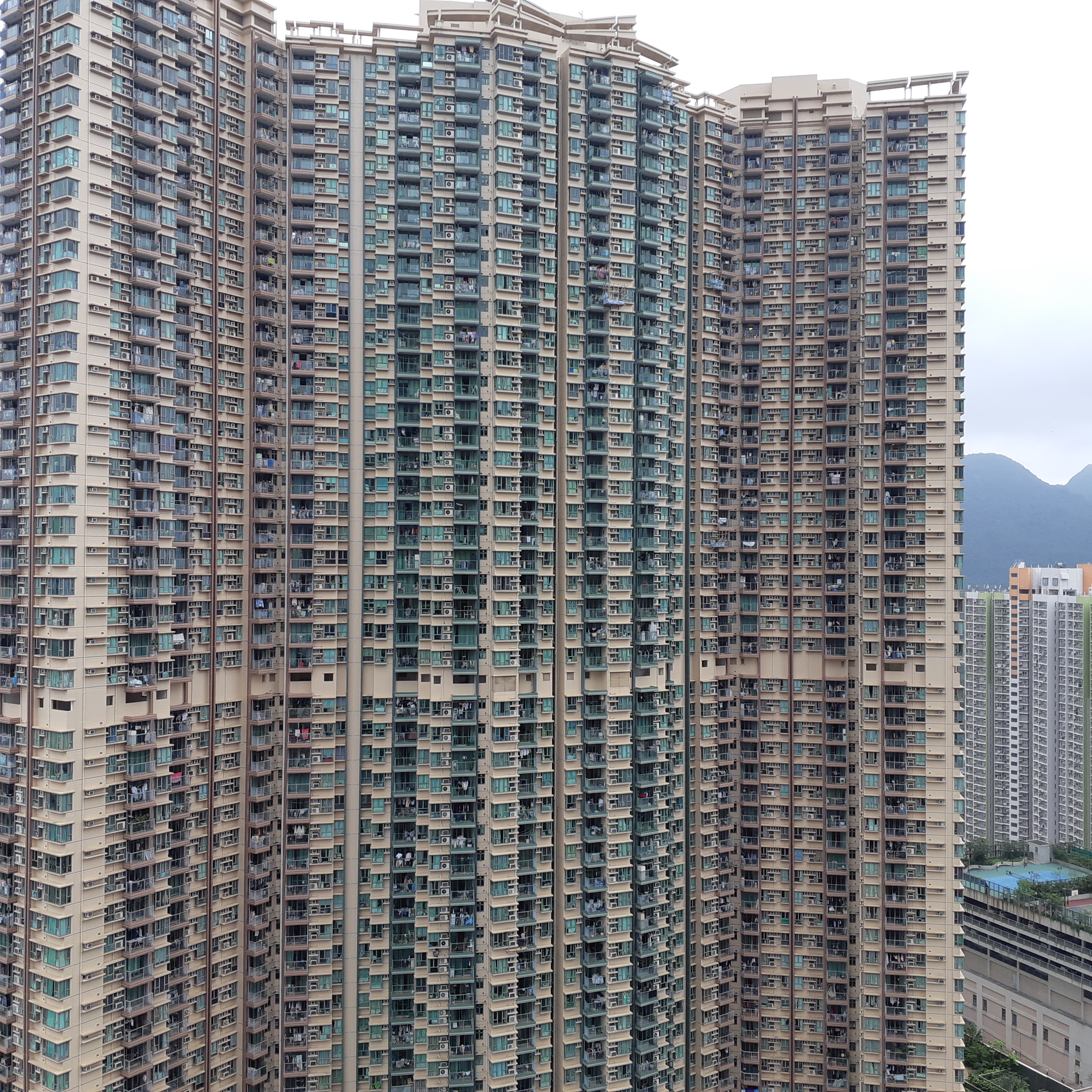 20190427_113656.jpg
