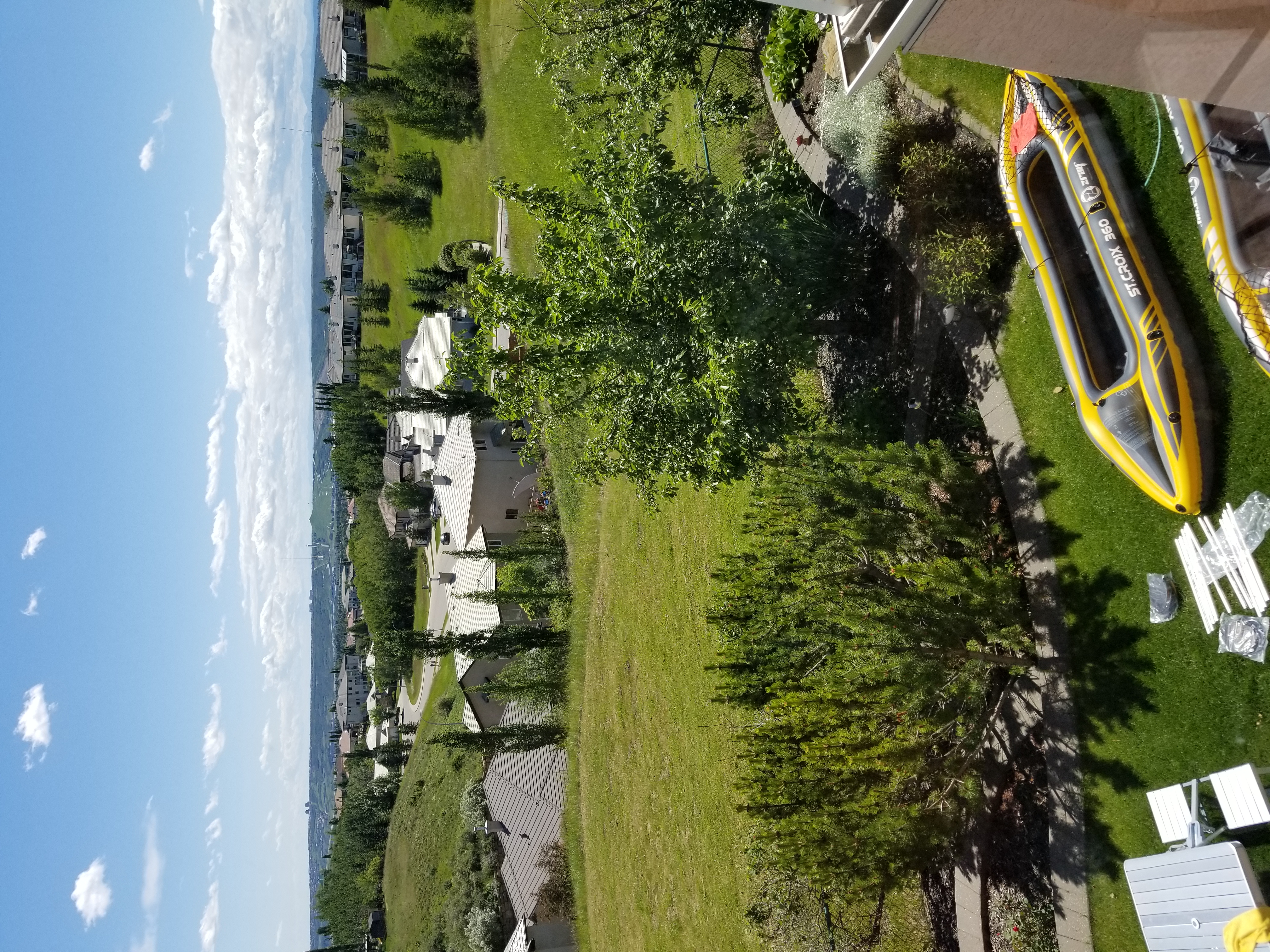 20200705_140957.jpg