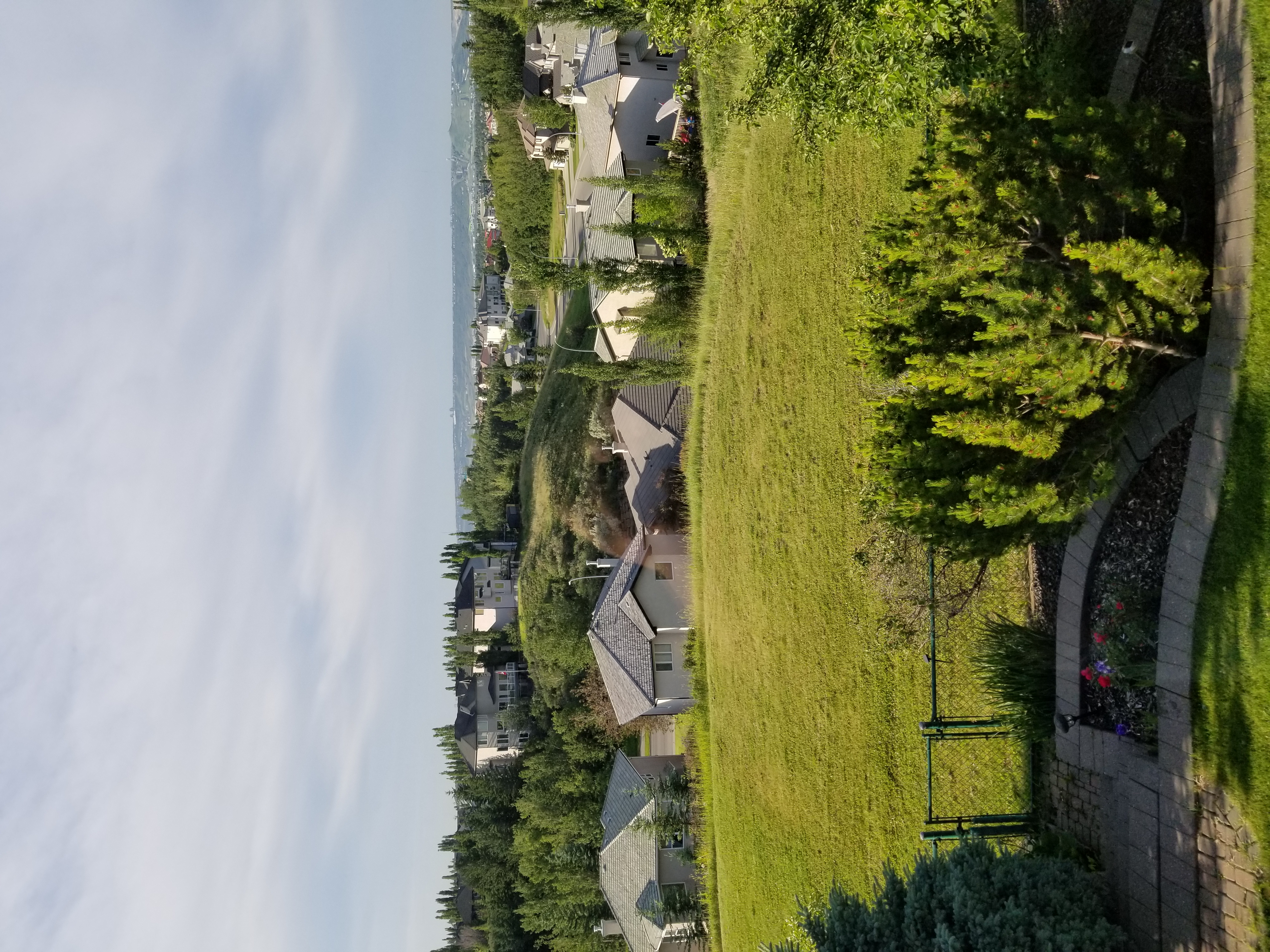 20200707_075358.jpg