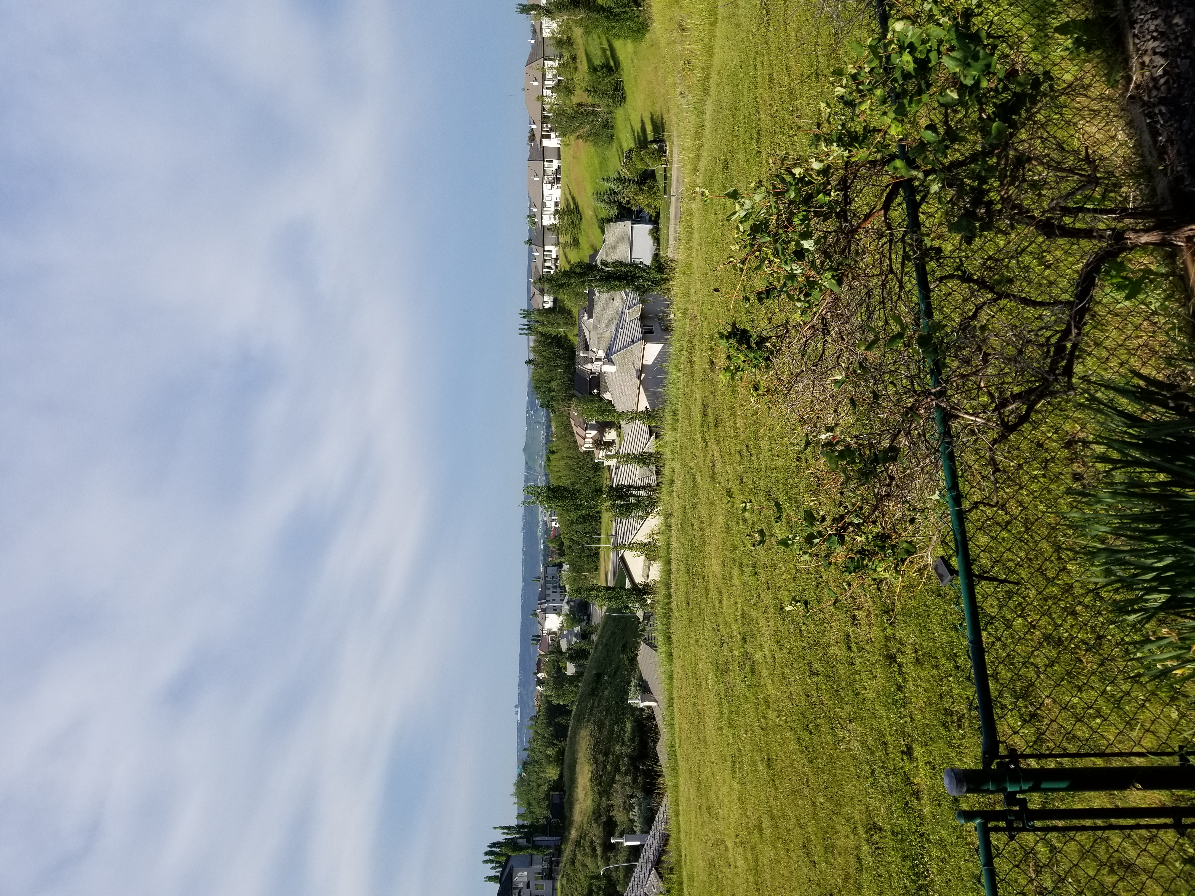 20200707_075925.jpg