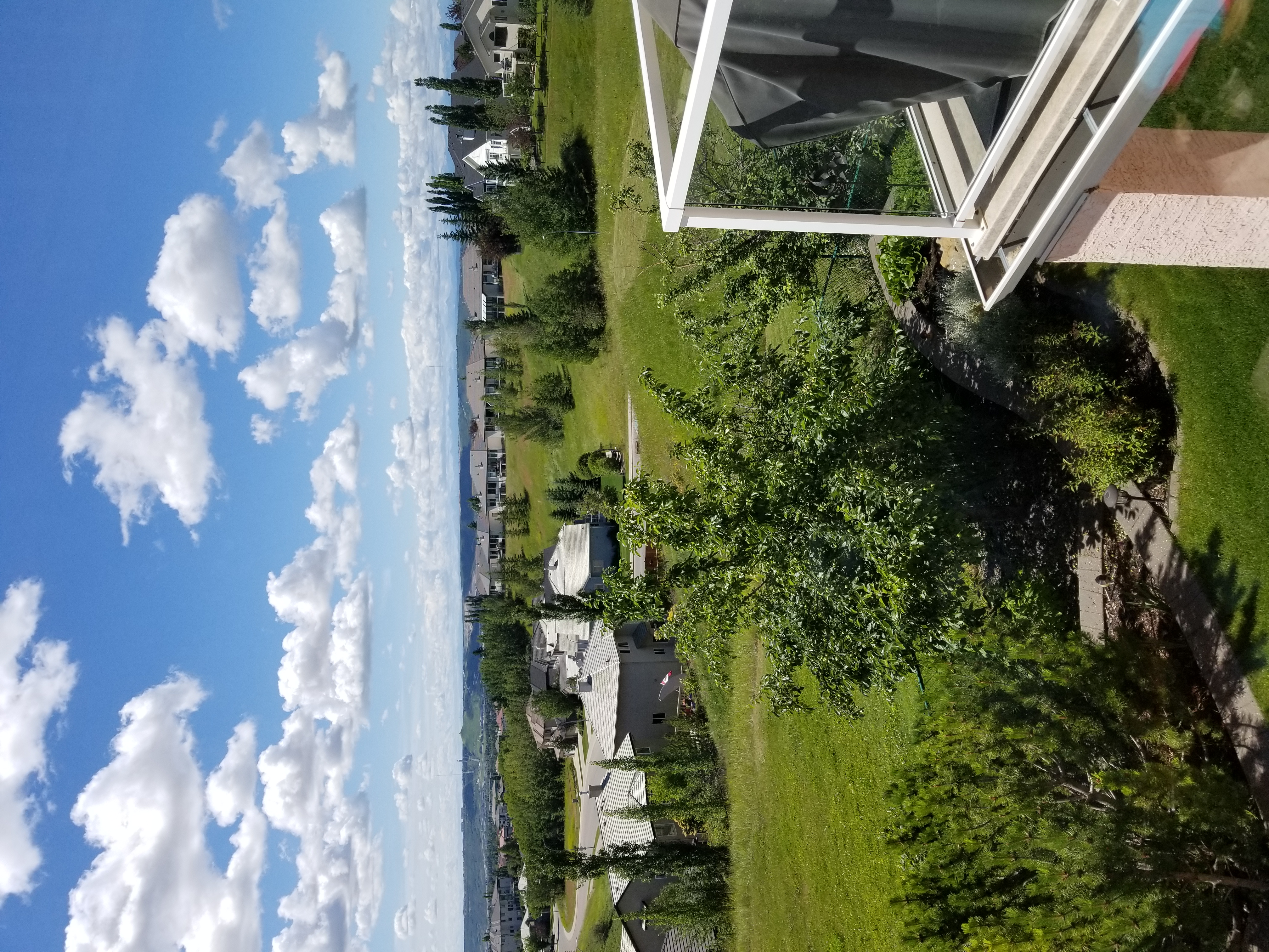 20200720_120152.jpg