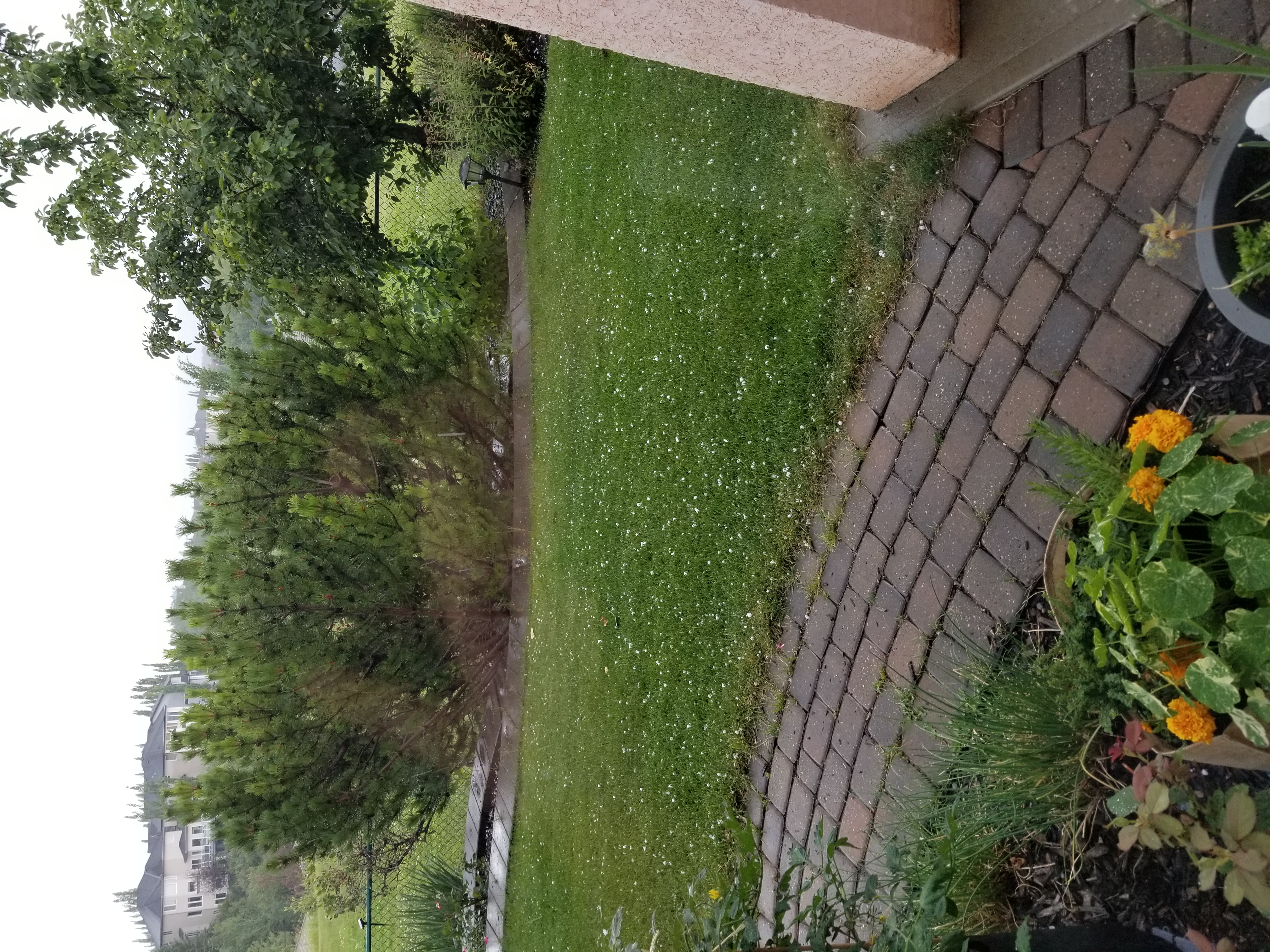 20200723_143016.jpg