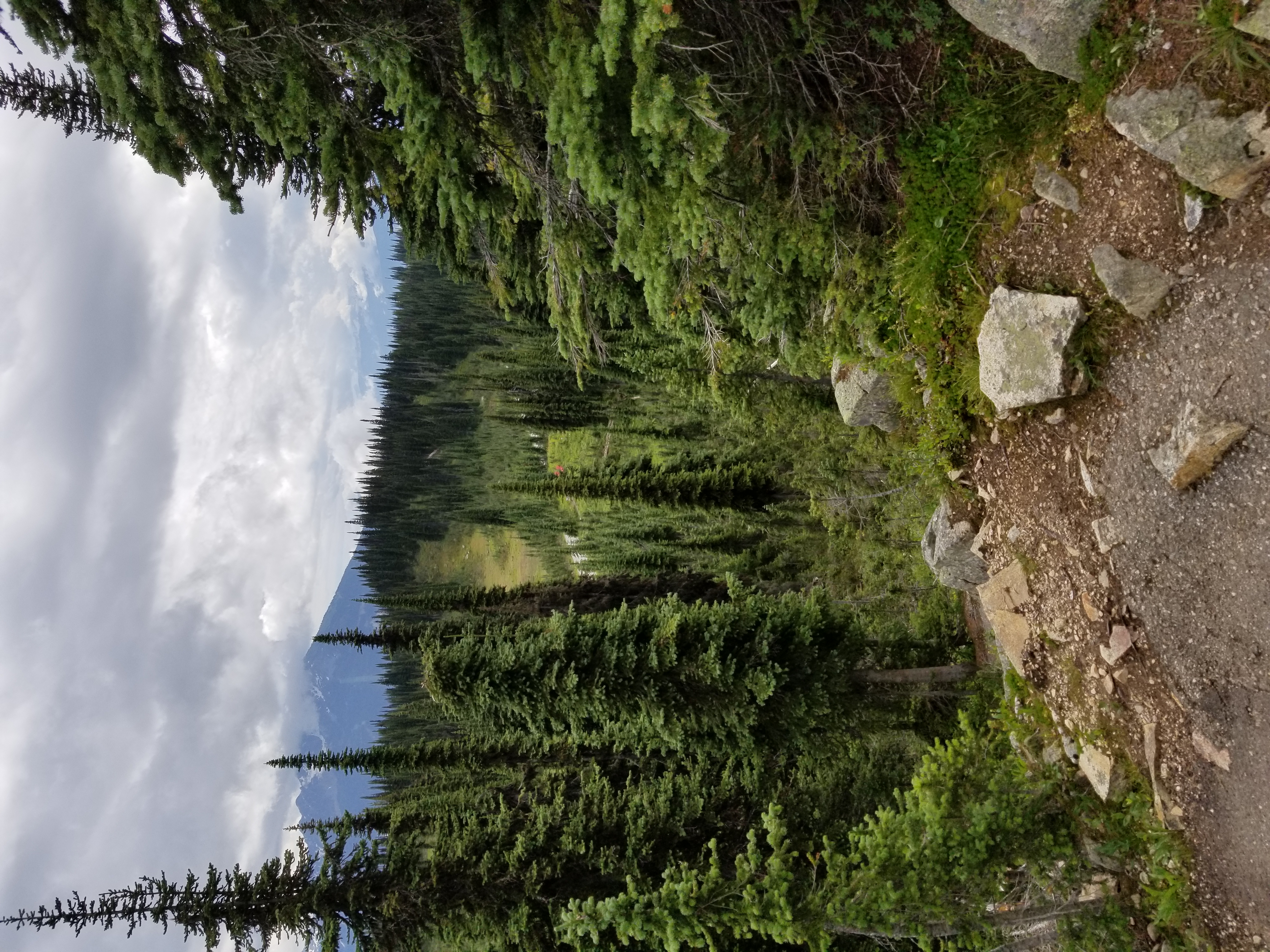 20200806_133014.jpg