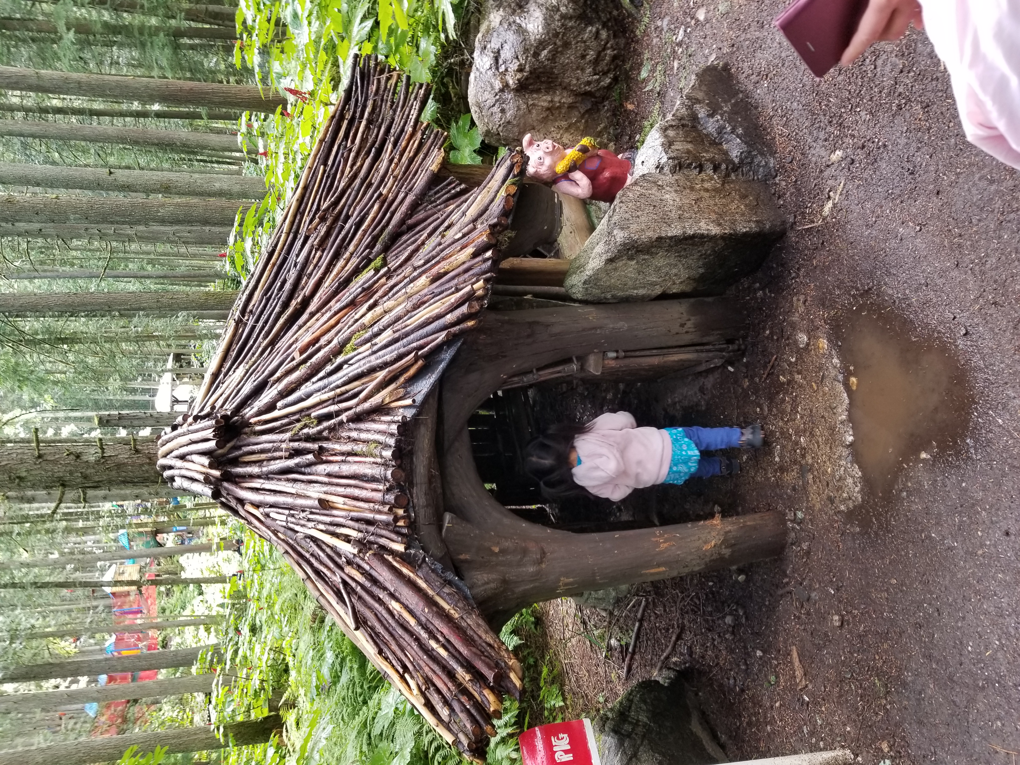 20200808_154332.jpg