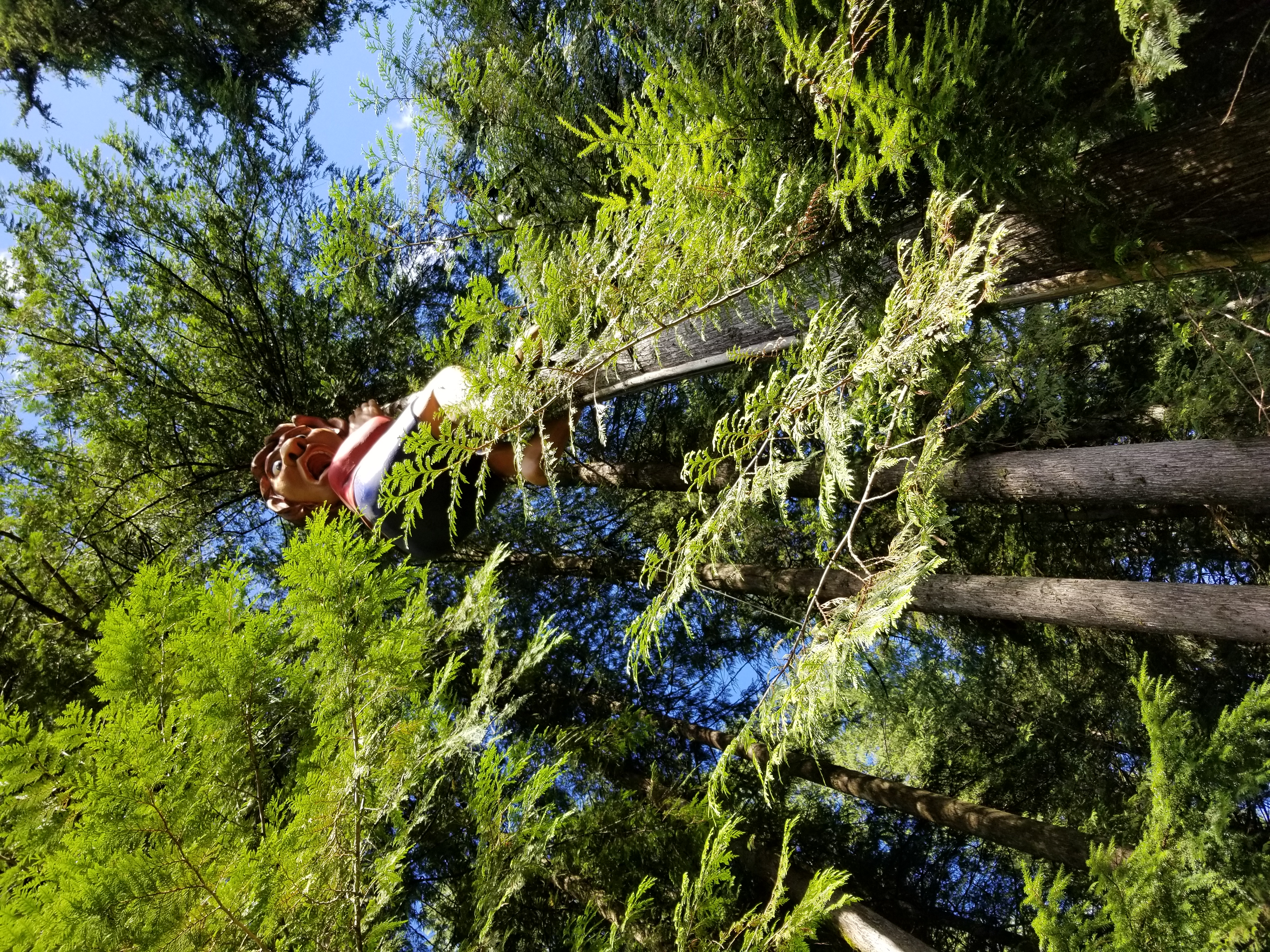 20200808_165745.jpg