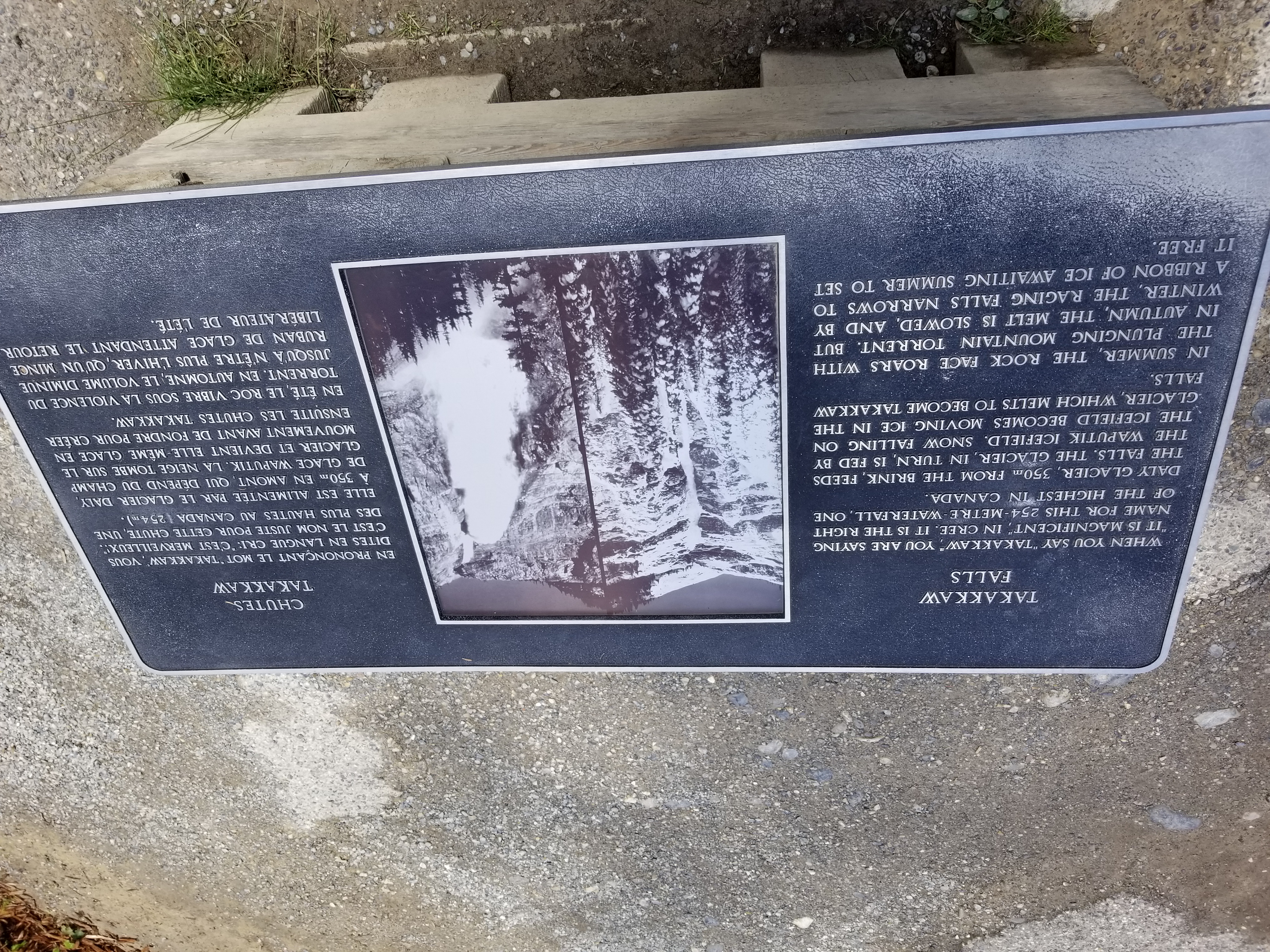 20200809_143927.jpg