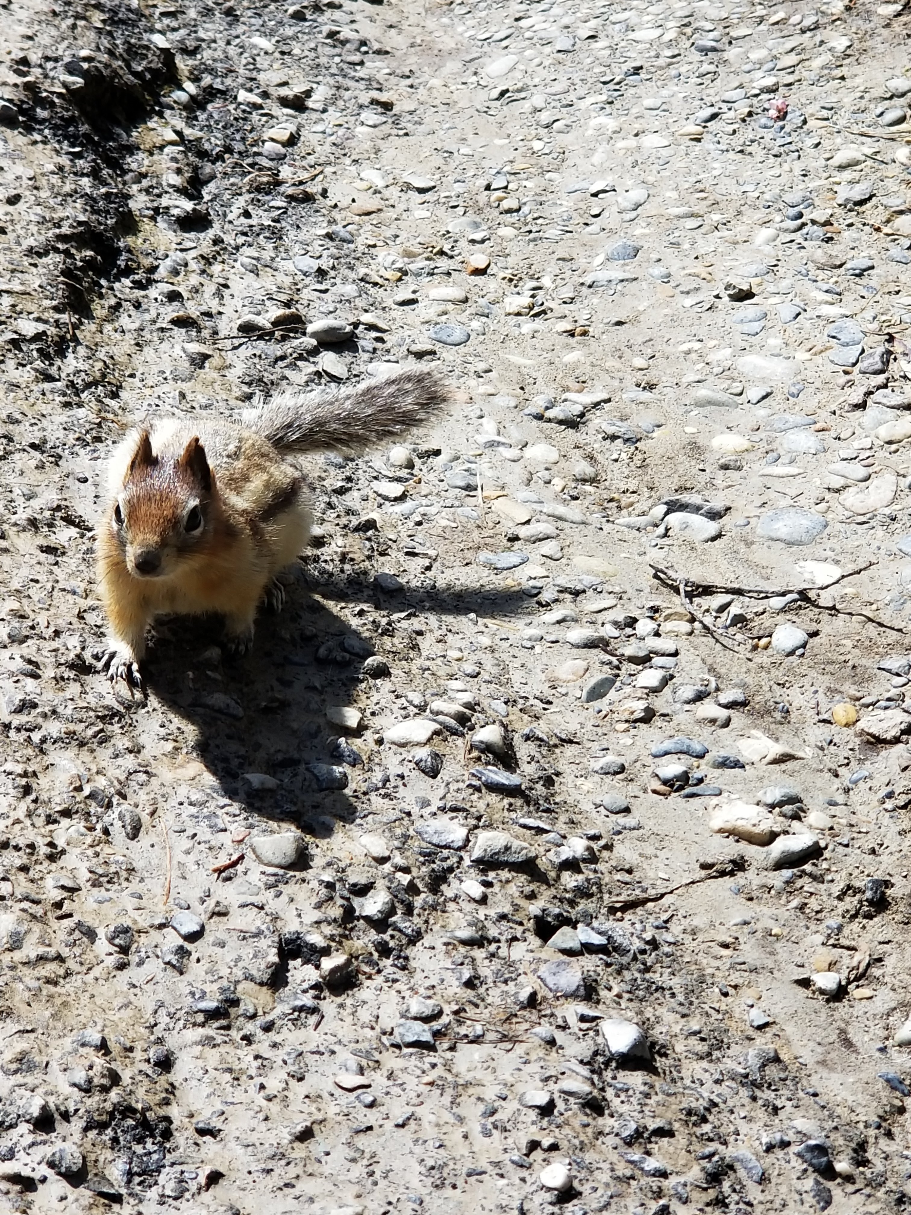 20200809_145054.jpg