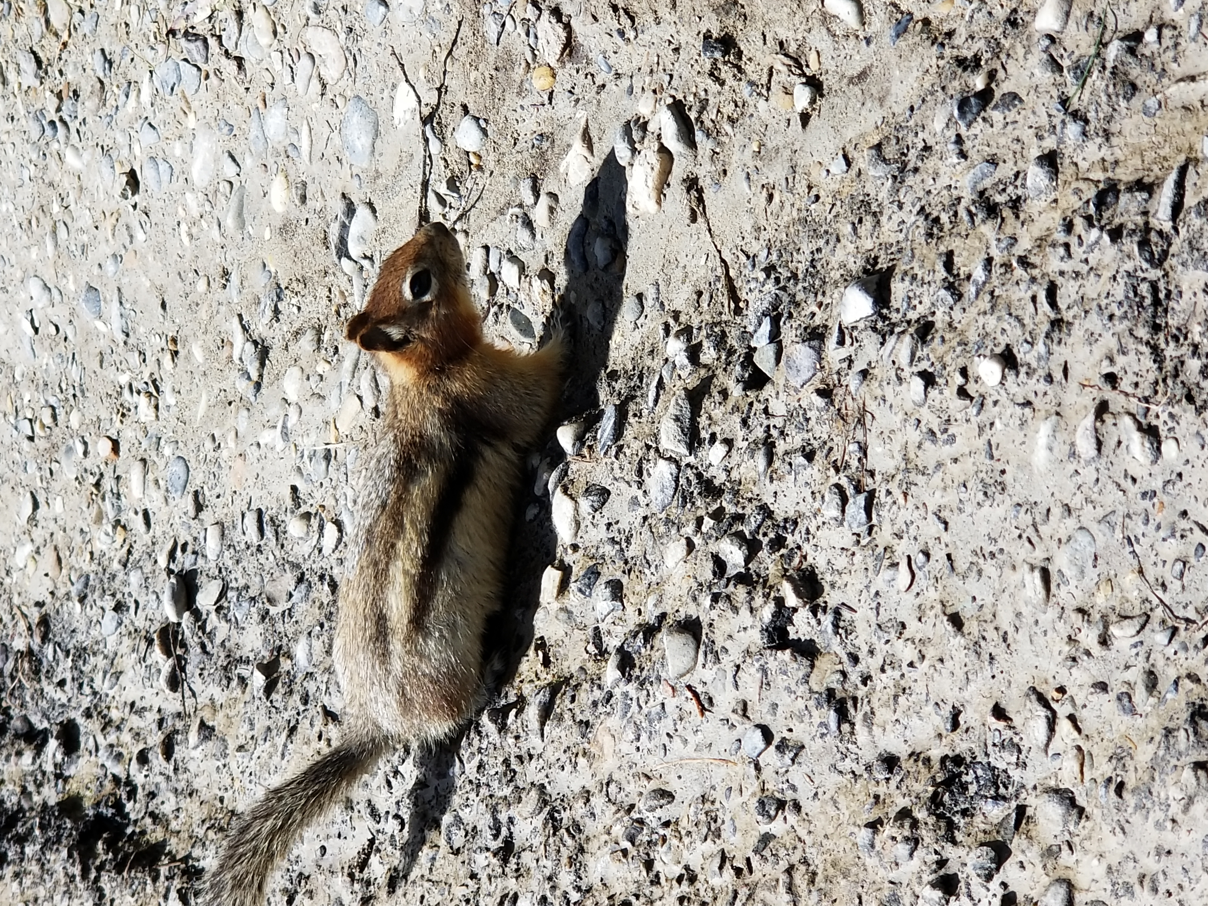 20200809_145057.jpg