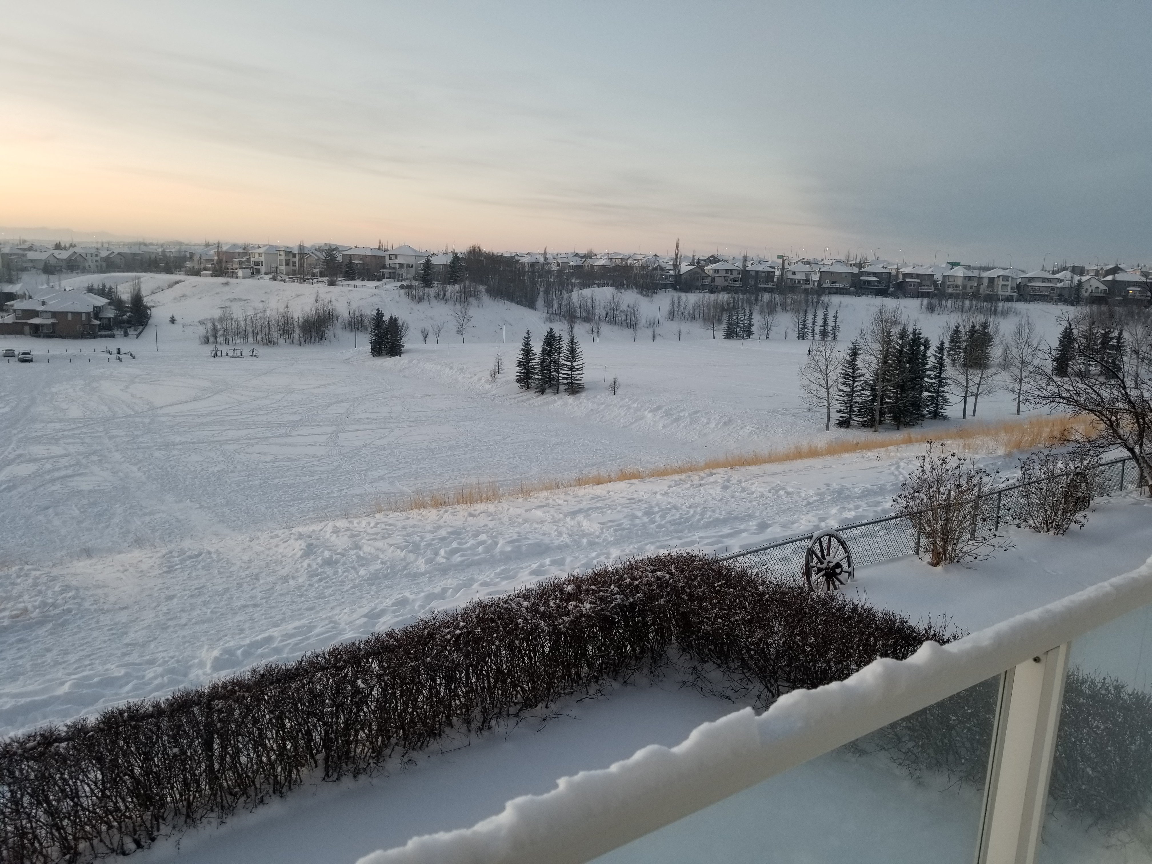 20201227_164116.jpg