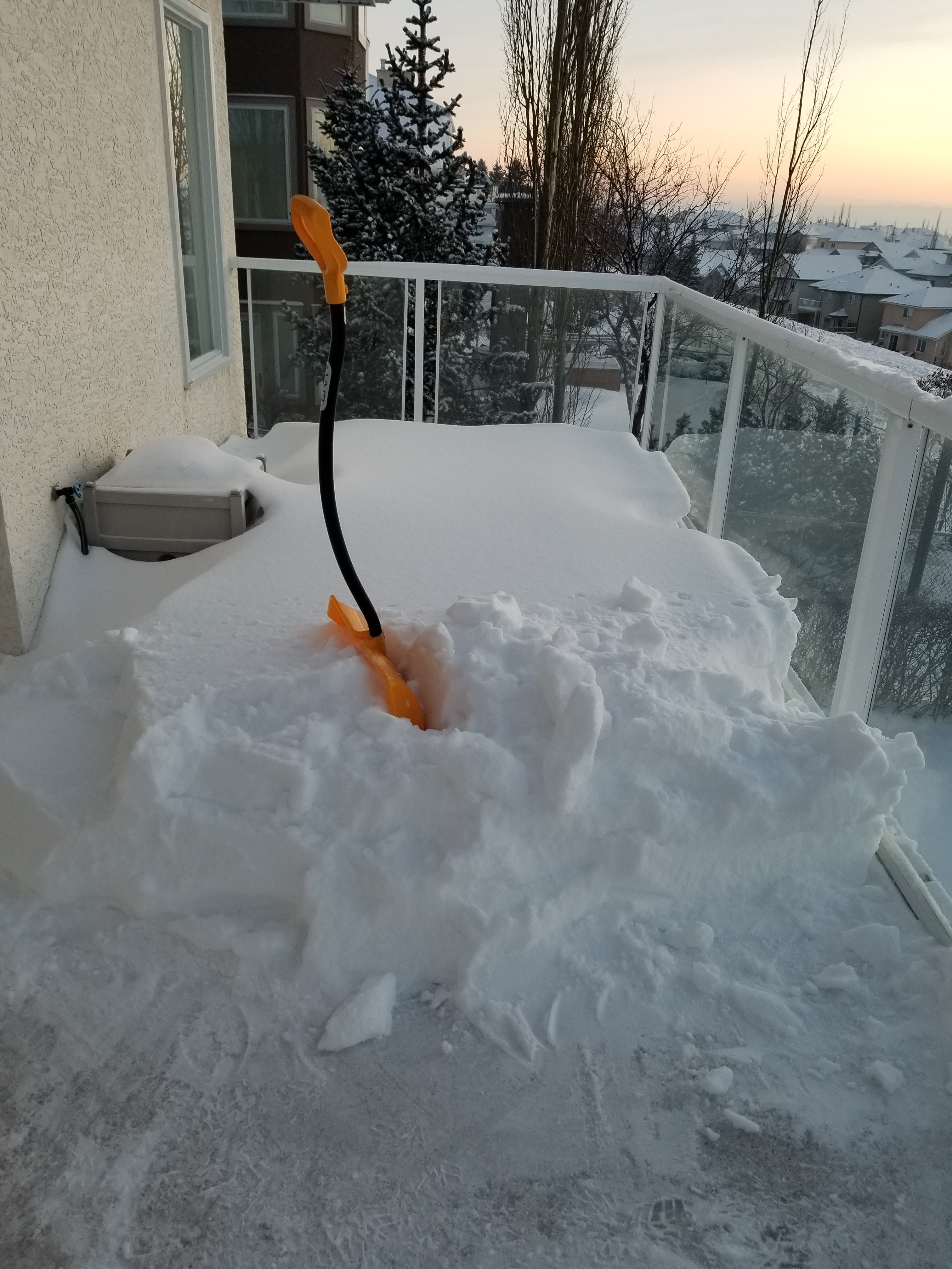 20201227_164132.jpg