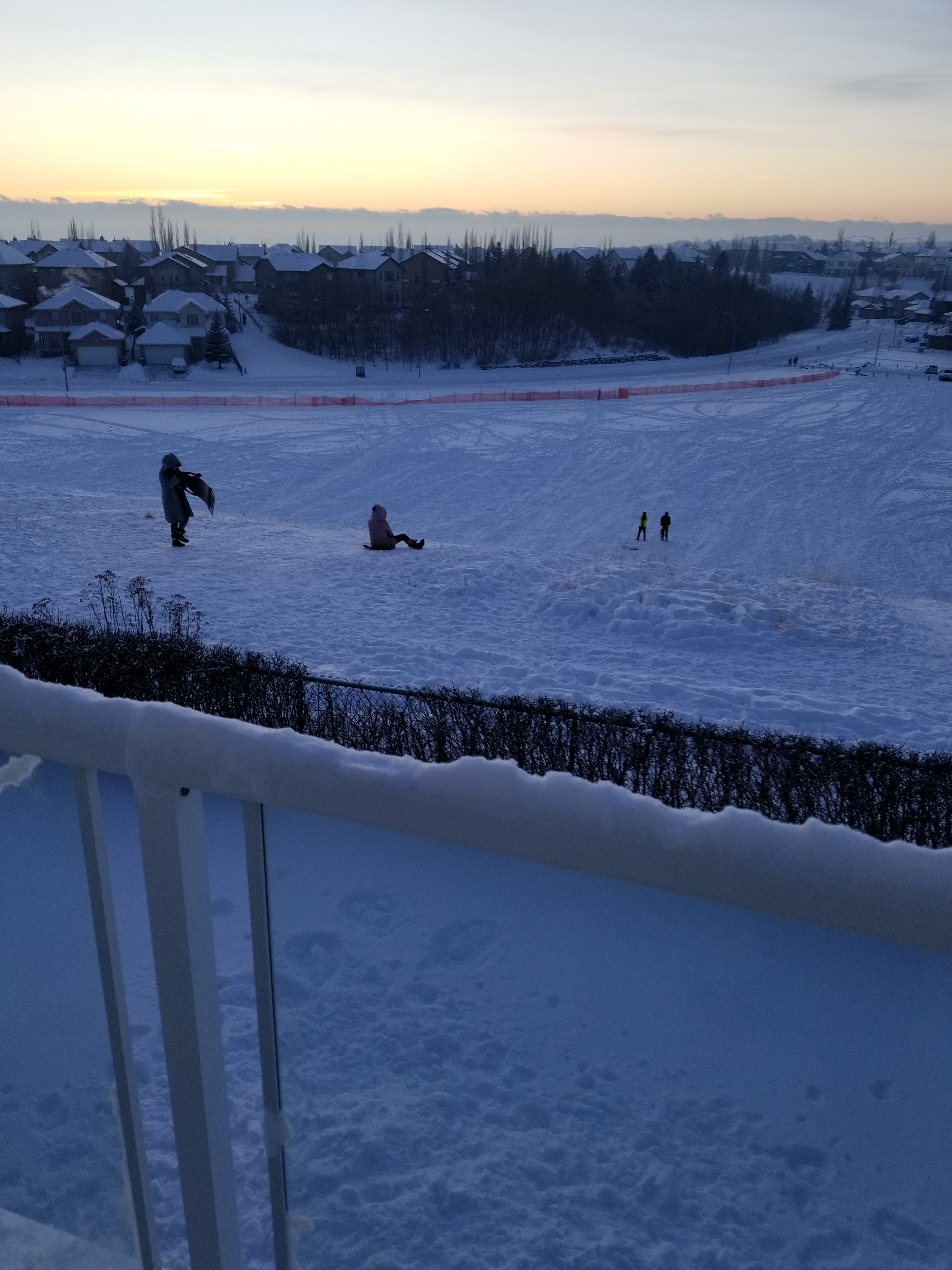 20201227_164348.jpg
