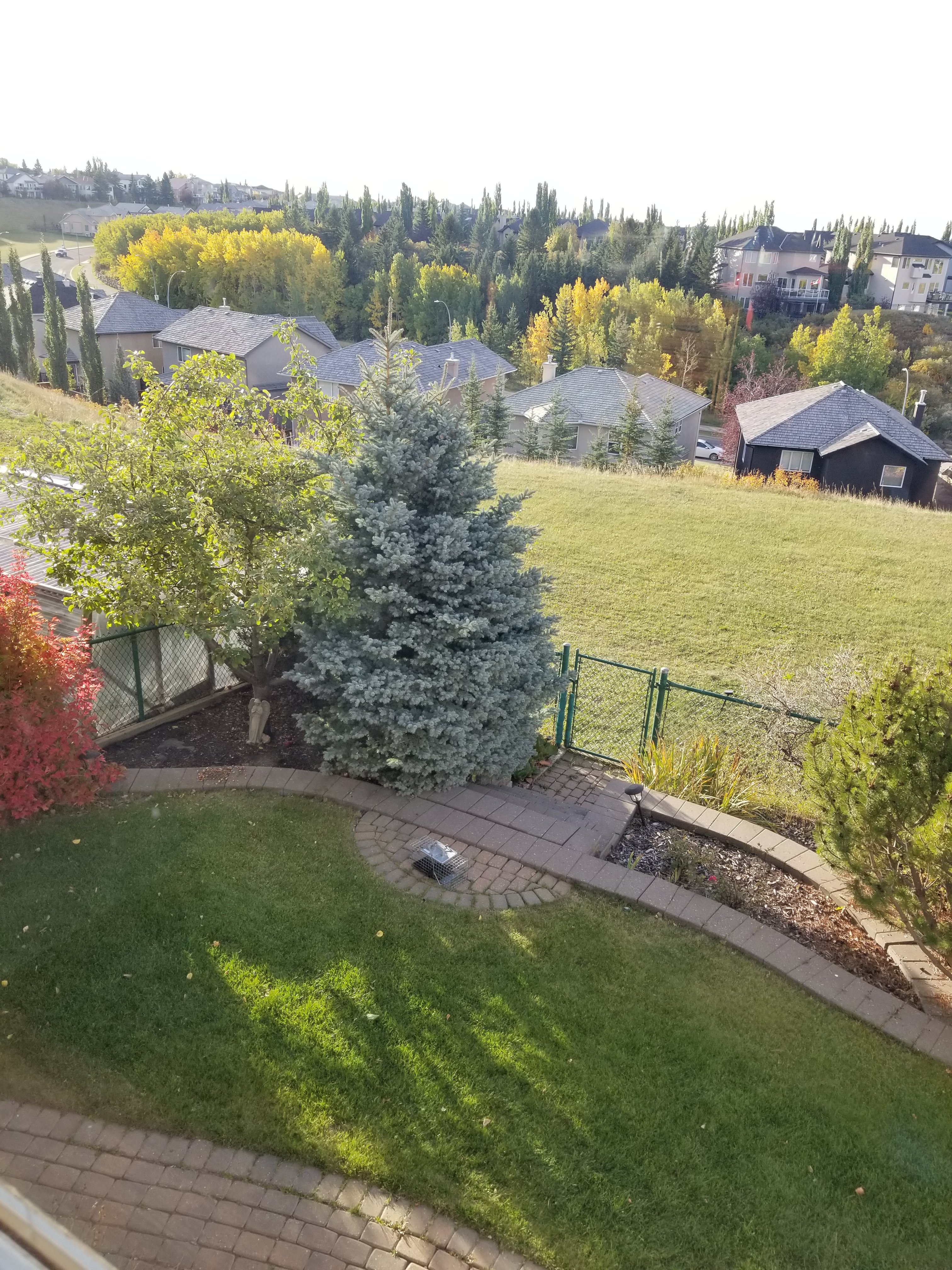 20210924_085106.jpg