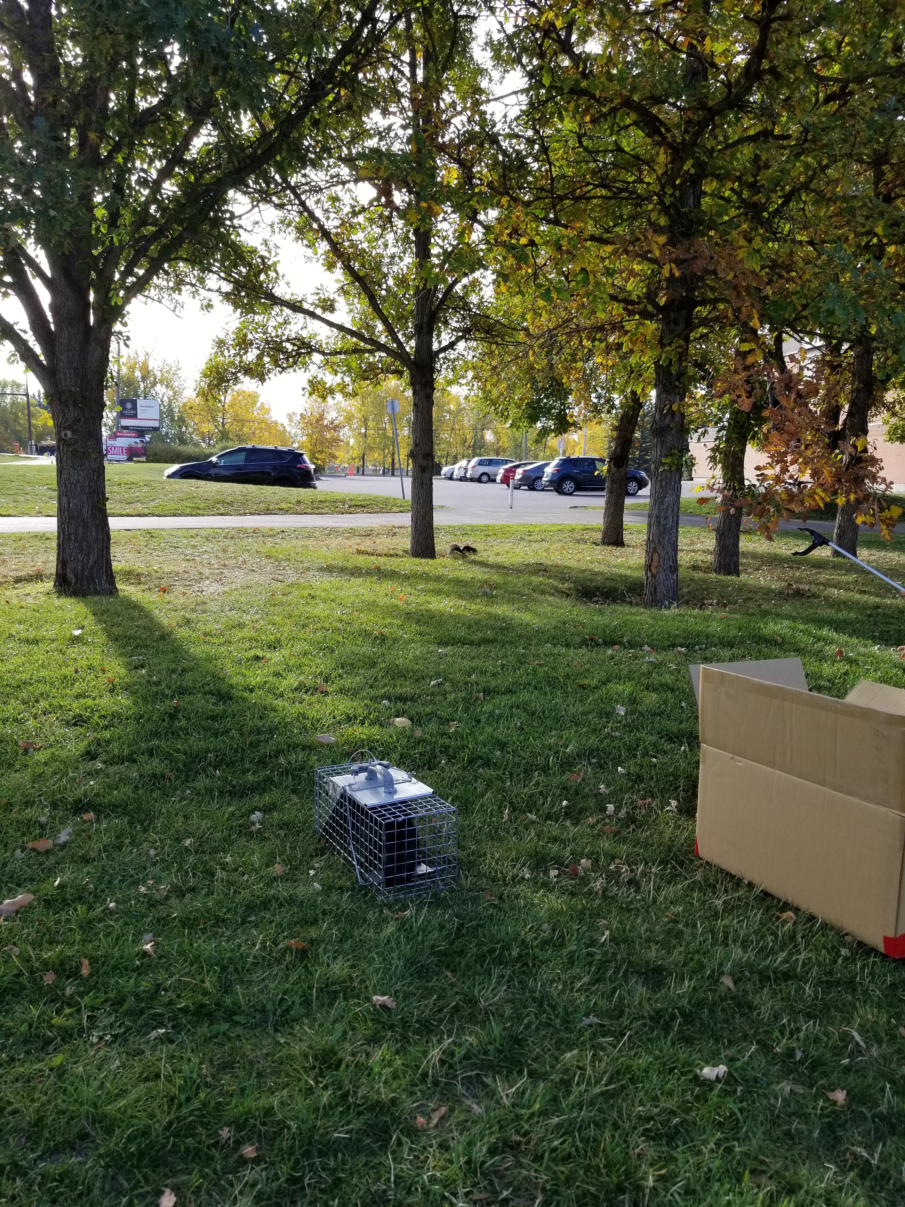 20210924_094839.jpg