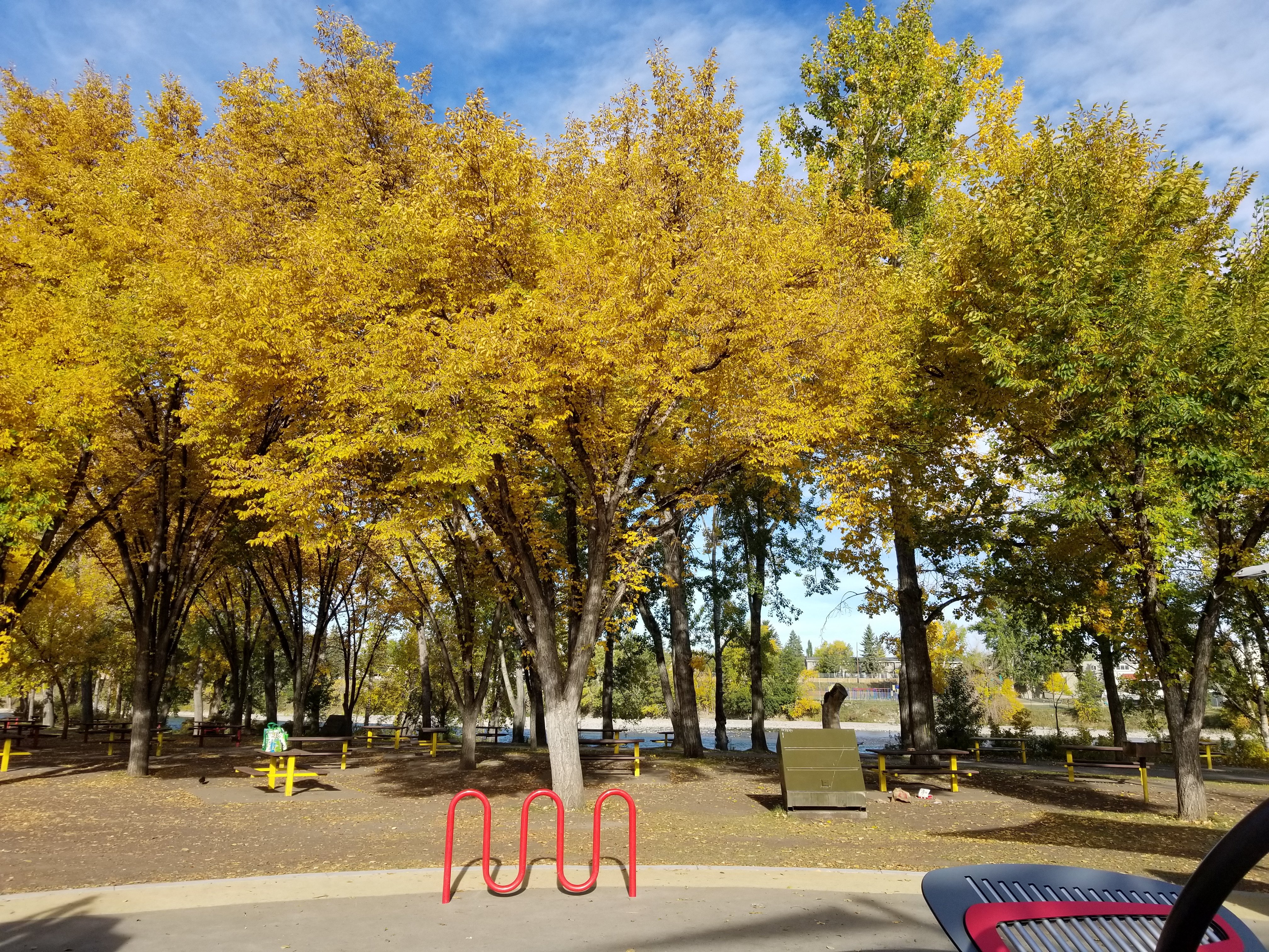 20210924_095617.jpg